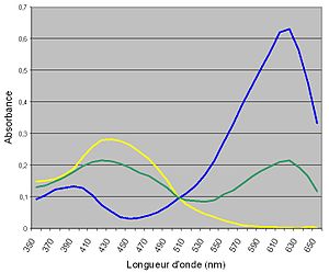 300px-Absorbances_des_formes_du_BBT.jpg