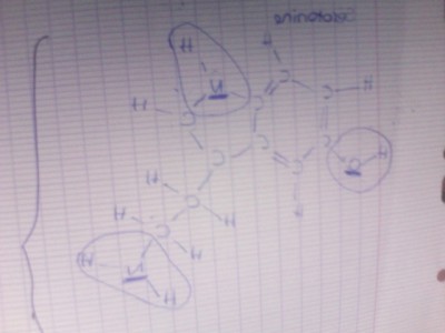 J'ai entouré ce que vous m'avez dit, c'est bon?