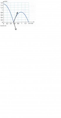 Sans titre.JPG