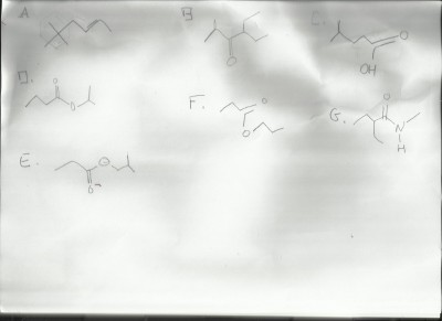Scan00020002.jpg