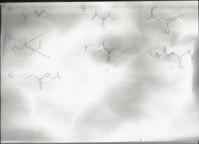 Scan00020002.jpg