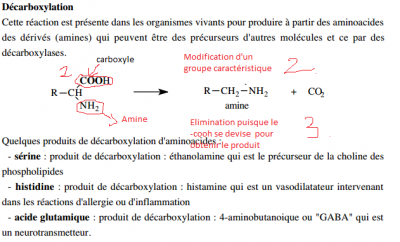 1 Décarboxylation enzymatique Partie 1 questions.png