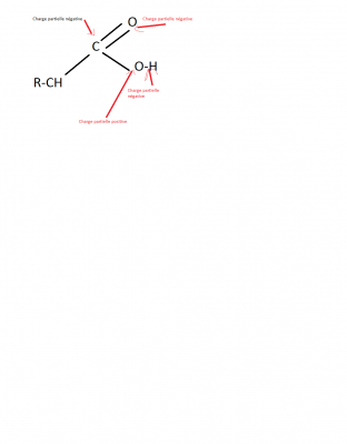 Décarboxylation enzymatique Partie 2 questions.png
