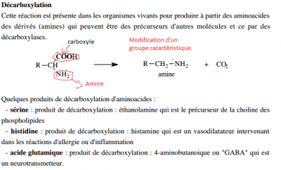 1 Décarboxylation enzymatique.png