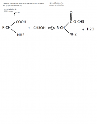 3)Estérification par les alcools premiere partie de questions.png