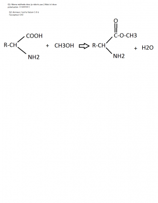 3)Estérification par les alcools deuxieme partie de questions.png