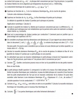 phoque 2.JPG