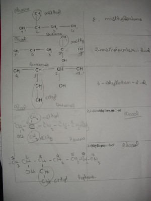 CIMG9413.JPG