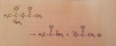 10401359_800180716658604_3124308600557112835_n.jpg