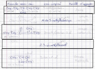 physique1.JPG