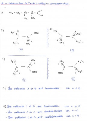 P1.jpg