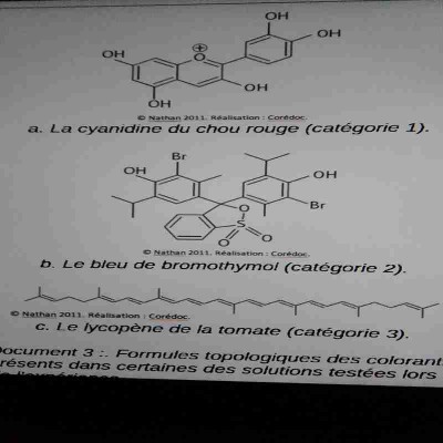 IMAG0289.jpg