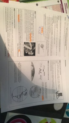 7895533C-F4ED-4A96-916D-E643C4D22DEC.jpeg
