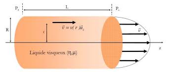 ecoulement poiseuille 1.jpg