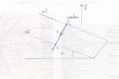 img144.jpg