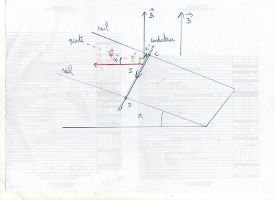 img145.jpg