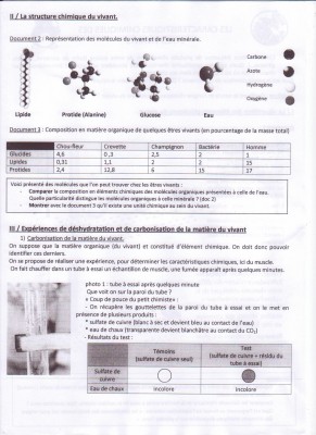 Physiques 2.jpg