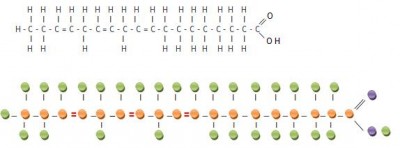 AGPolyinsaturé