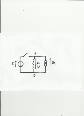 RL 001.jpg