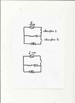 circuit RL 001.jpg