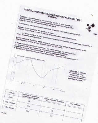 Physiquess dm.jpg