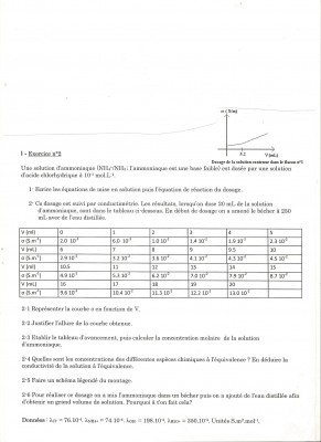 Sans titre.jpg