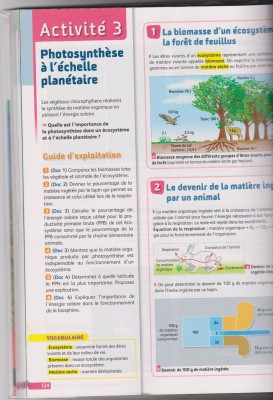 Activité 3 , Thème 3 (1.jpg