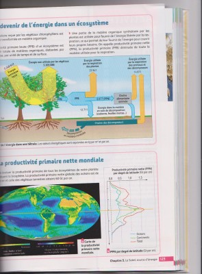 Activité 3 , Thème 3 (2.jpg