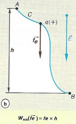 Image02.jpg
