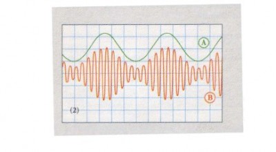 fig 8.jpg