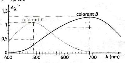 IMG1.jpg