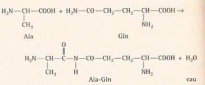formulecorrection.jpg