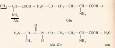 formulecorrectionel.jpg