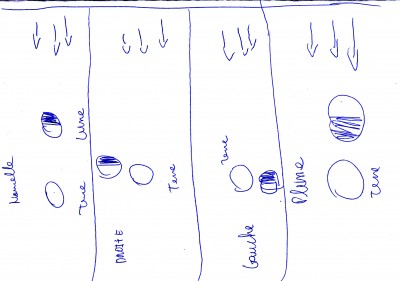 IMG_0005.JPG (648.64 Kio) Vu 9009 fois Voila