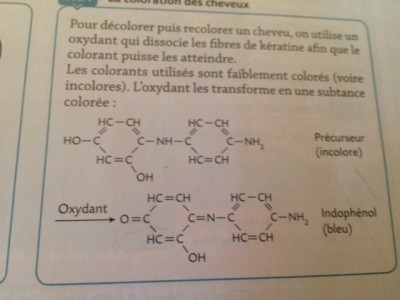 Voici le document sur lequel porte la question