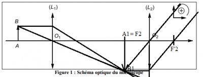 figure 1 dm optique complétée.png